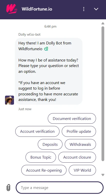 Wild Fortune support options with live chat and email